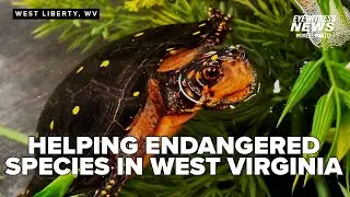 Wild Appalachia: Appalachian Aquatic Conservation Center at West Liberty University