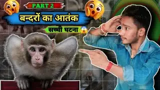 बन्दरों का आतंक 😱 || The Attack Of Monkeys 🐒  || Struggled Story Official ||