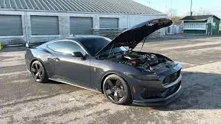 MUSTANG DARK HORSE ULTIMATE SLEEPER BUILD (CARBON PACKAGE)
