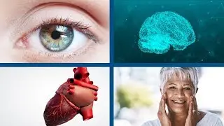 The Benefits of Astaxanthin