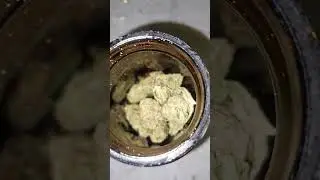 THUNDER SLOTH SEED AND STRAIN