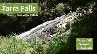 Tarra Falls in spring