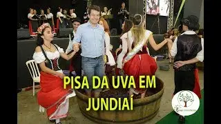 PISA DA UVA COMO É FEITA, 03 FESTA DA UVA EM JUNDIAÍ 2019