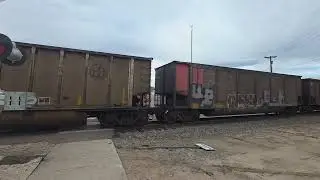 BNSF SB coal train with new shiny GEVOs