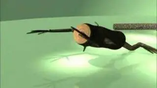 3D animation 