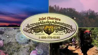 Charter Boat Services in Homer, AK - Inlet Charters Across Alaska Adventures