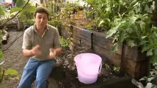 Садовые гуру &mdash; Водные кристаллы