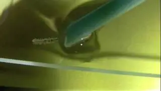 Digitate hydroids .
