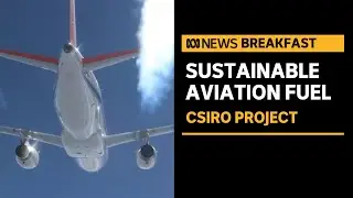 Sustainable aviation fuel could decarbonise the airline industry | ABC News