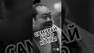 Генеральские котлы но это борец сумо против самурая