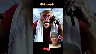 Flight mein Tiger allow nahi hai - Bandar Gussa ho gaya つ Funny Monkey video #shorts #aimonkey #ai
