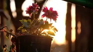 good helth music, Meditation Music, Health Booster Music, sangeetdeeksha