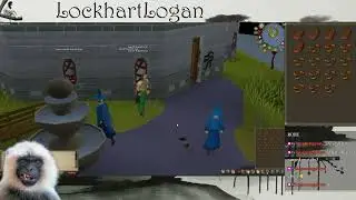 Runescape Day 8 | War on the Wizards