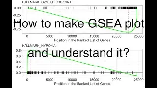 Gene Set Enrichment Analysis using RNA Sequencing Data 🧬