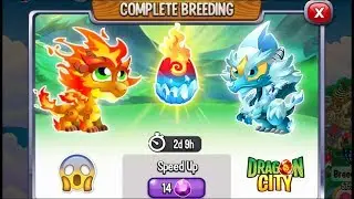 NEW BREEDING: Double Flame Dragon & Double Ice Dragon | DRAGON CITY 2019 😍