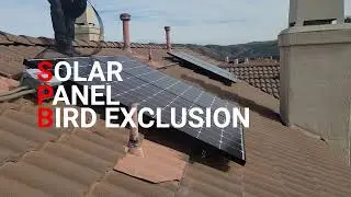 Solar panel bird exclusion