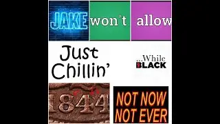 Jake-#police Won&rsquo;t Let You #Chill While #BeingBlack it is part of the Job Description #Gunpermits
