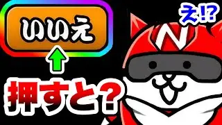 13周年レッドにゃんことの会話で『いいえ』を押すと...　にゃんこ大戦争