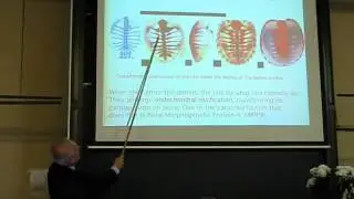 Scott Gilbert - How the Turtle Gets Its shell. I. The Development of Shell Bones