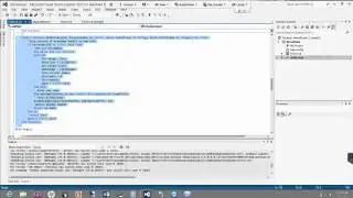 Paltalk Tutorial Programming Series #2