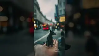 LONDON Animals From Tiny to GIANT! 😱