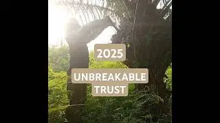2025 | #farming #offgrid #ghana #africa #fruit #2025 #diy #kwamen #garden