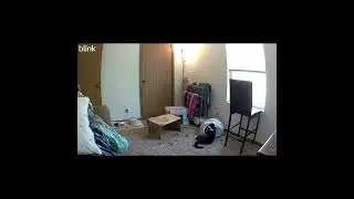 Blink Mini 1080p HD Security Camera Review: Easy Setup, Motion Detection, Works with Alexa