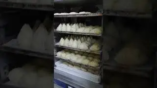 Italy Arancini shock freezing freezing