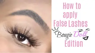 How to apply 25mm lashes  | Bougie Doll Brand