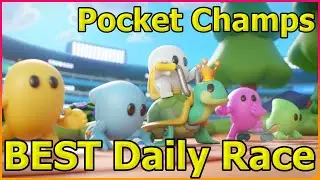 Best Pocket Champs Daily Race