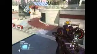 Black Ops 2 Bill Cam on Raid (with DSR 50)