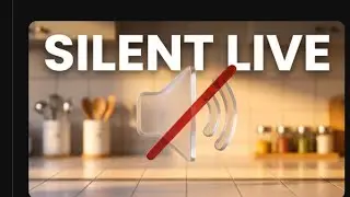 Zaika with foods is live