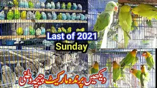 Sunday Birds Market | Chichawatni | Love birds | Last episode of 2021 | Fancy Pigeons | Happy Bird92