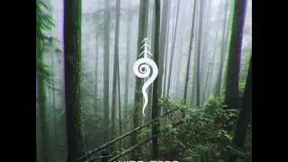 Wise Tree - Emerging From the Ferns [#Downtempo #Psydub #TribalBass]