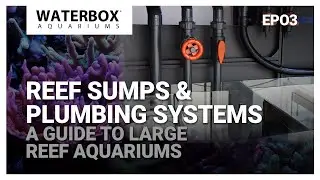 Reef Sumps & Plumbing Systems