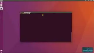 010 ls command in Linux (Ubuntu)