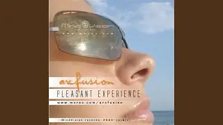 Pleasant Experience (2funk Mix)