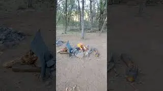 Vanlife Serenity: Camping with a Honda Odyssey Campervan & Campfire