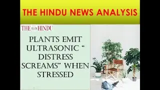 THE HINDU NEWS ANALYSIS. ( A RESEARCH ON PLANT BEHAVIOR) 16-12-2019