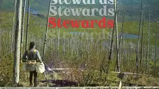 Stewards (2023) | An Allegorical Journey into Canada's Coniferous Forest Crises - Full Documentary