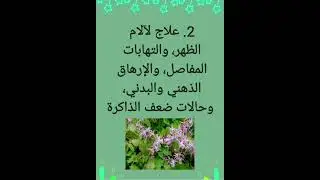 فوائد عشبة العنزة #tiktok #shorts #explore #health #food #صحتي #الصحة #أعشاب #العنزه