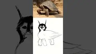 Random Hybrid Animal Drawing challenge