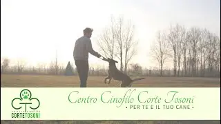 Benvenuto nel Centro Cinofilo Corte Tosoni