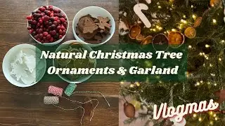 Natural Old-Fashioned Christmas Tree | Vlogmas | Kids Christmas Craft | Large Christian Family