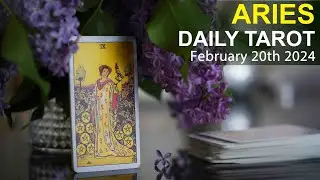 ARIES DAILY TAROT READING 