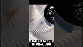 Bug Experiences The FNaF FFPS Ending In REAL LIFE | FNaF 2 Movie MEME