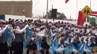 precursores de surco banda (julio 2010)