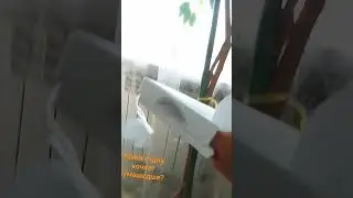 Добавьте название