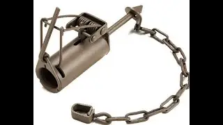 Dog Proof Trap for Nuisance Coons