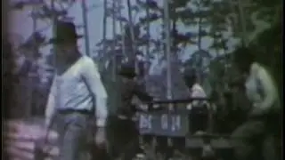Taylor and Dixie County Logging--Part 2 (late 1930s - early 1940s)